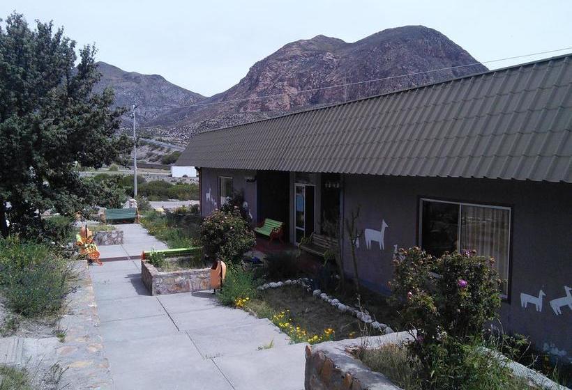 Hotel Las Vicuñas | Putre | Tarapaca | Cile 12
