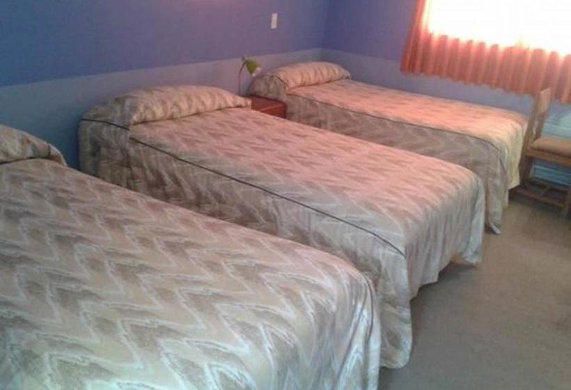 Hotel Las Vicuñas | Putre | Tarapaca | Cile 15