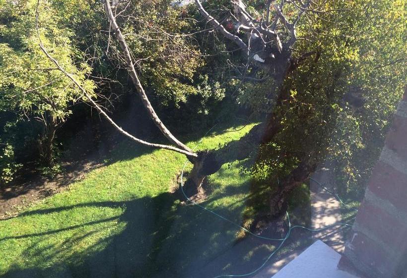 Hotel Lacolet | Punta Arenas | Magallanes y Antartica | Chile 10