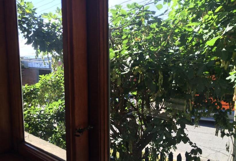 Hotel Lacolet | Punta Arenas | Magallanes y Antartica | Chile 18