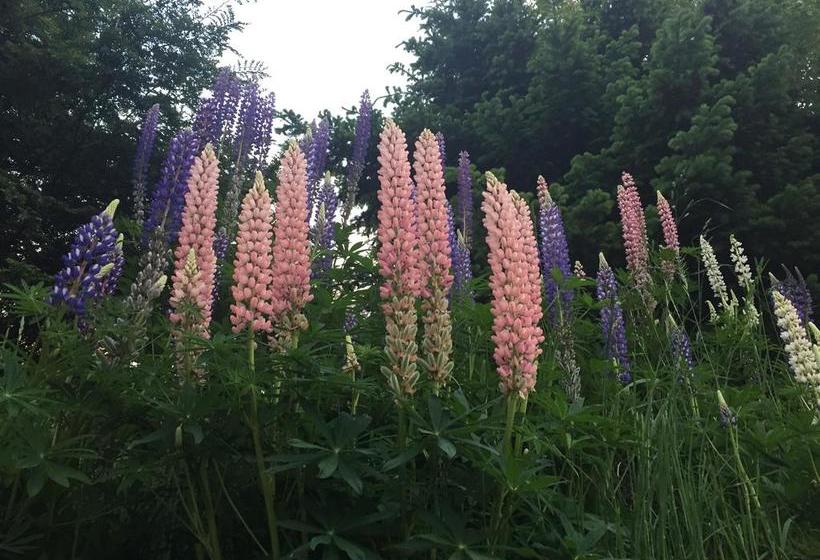 Hotel Pampa del Corral | Coihaique | Aysén | Chile 17