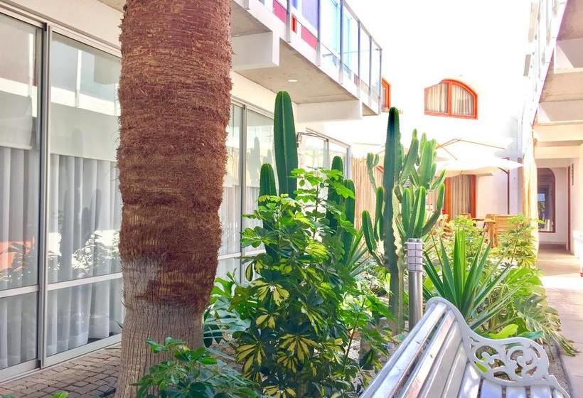 Hotel Puerto Chinchorro | Arica | Tarapaca | Chile 5