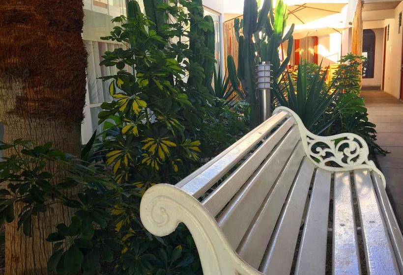 Hotel Puerto Chinchorro | Arica | Tarapaca | Chile 6