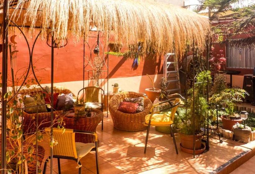 Hostal La Paskana | Arica | Tarapaca | Chile 18