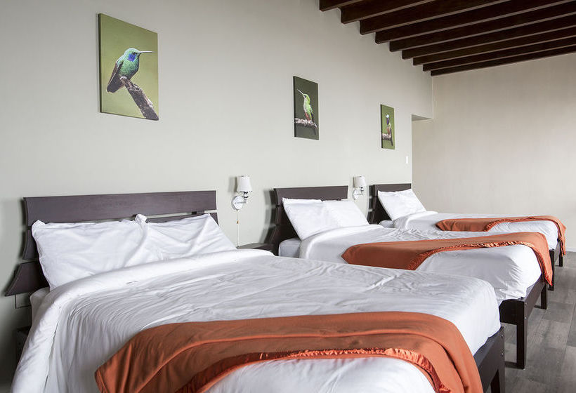 Hotel Colonial San Agustin | Quito | Pichincha | Ecuador 9