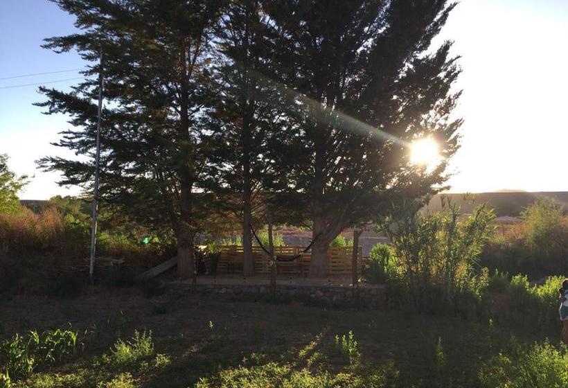 Hostal Piedrita de Río | San Pedro de Atacama | Antofagasta | Chile 4