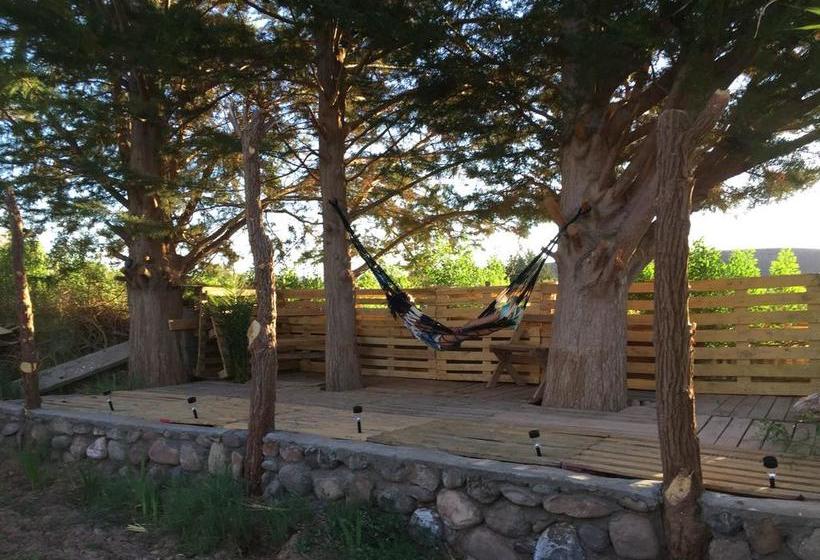 Hostal Piedrita de Río | San Pedro de Atacama | Antofagasta | Chile 5