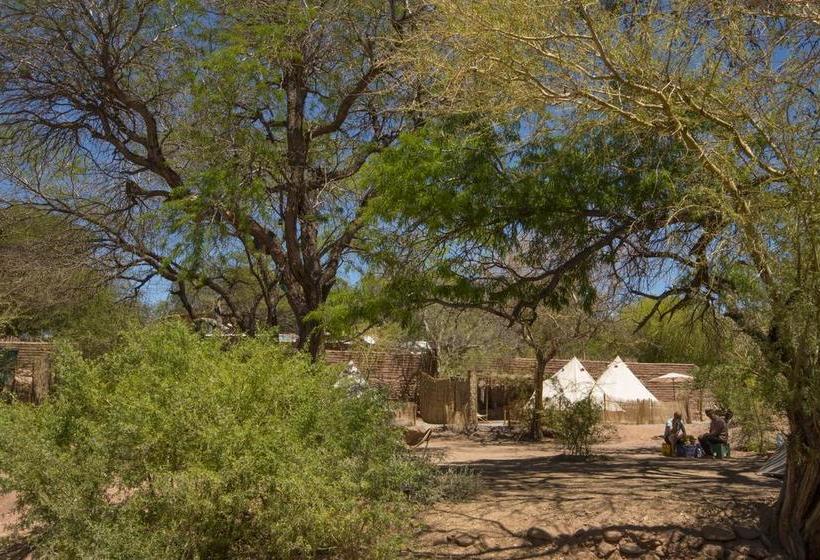 Aji Verde Hostel San Pedro | San Pedro de Atacama | Antofagasta | Chile 16