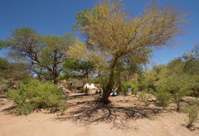 Aji Verde Hostel San Pedro | San Pedro de Atacama | Antofagasta | Chile 17