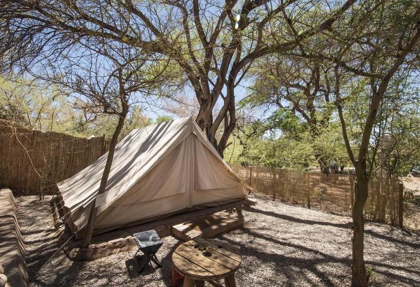 Aji Verde Hostel San Pedro | San Pedro de Atacama | Antofagasta | Chile 18