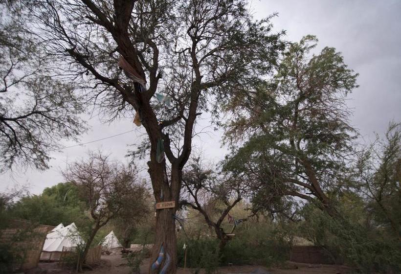Aji Verde Hostel San Pedro | San Pedro de Atacama | Antofagasta | Chile 20