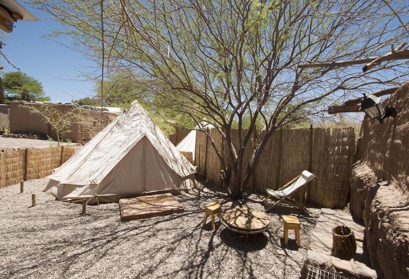 Aji Verde Hostel San Pedro | San Pedro de Atacama | Antofagasta | Chile 8