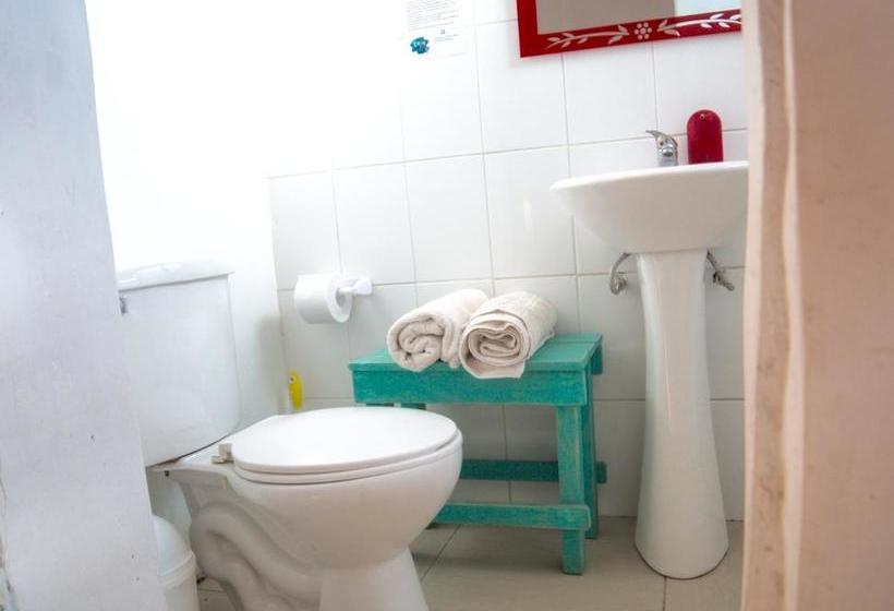 Alma Verde Hostal Boutique | Maitencillo | Valparaiso | Chile 12