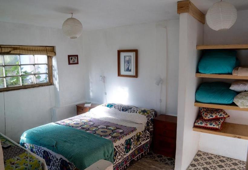 Alma Verde Hostal Boutique | Maitencillo | Valparaiso | Chile 13