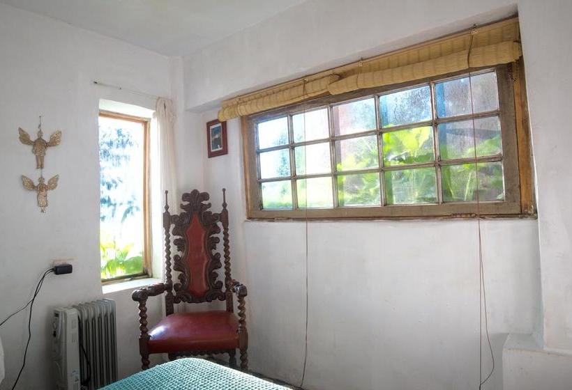 Alma Verde Hostal Boutique | Maitencillo | Valparaiso | Chile 14