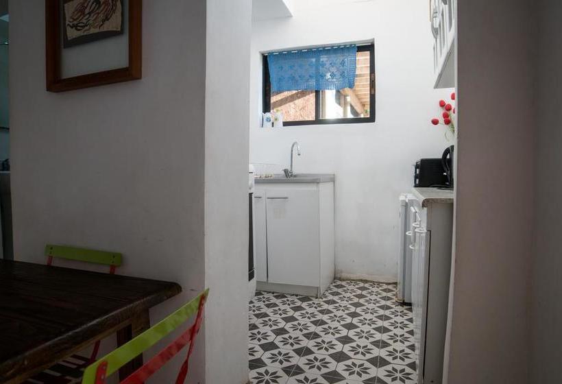 Alma Verde Hostal Boutique | Maitencillo | Valparaiso | Chile 15