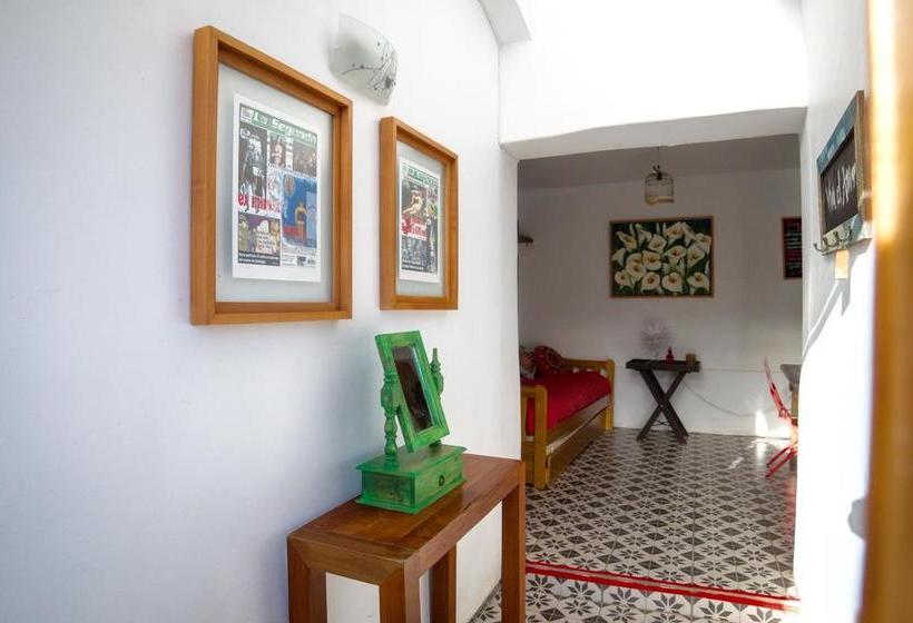 Alma Verde Hostal Boutique | Maitencillo | Valparaiso | Chile 16