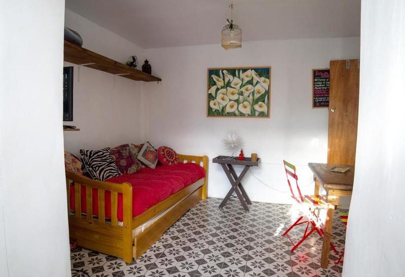 Alma Verde Hostal Boutique | Maitencillo | Valparaiso | Chile 17