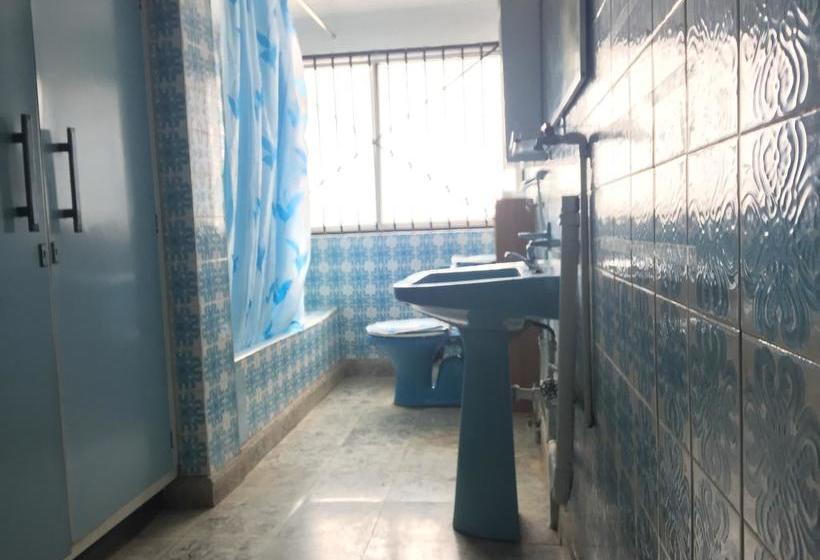 Hostal Majo | Temuco | Araucanía | Chile 9