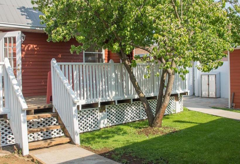 Hostal Callejon Massmann | Temuco | Araucanía | Chile 8