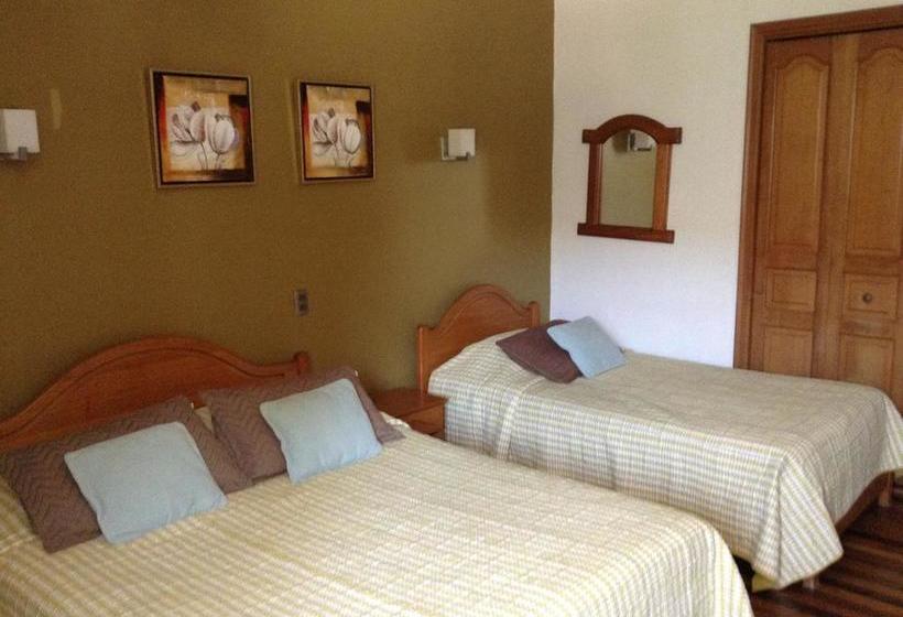 Hostal El Parrón | Rancagua | O'Higgins | Chile 6