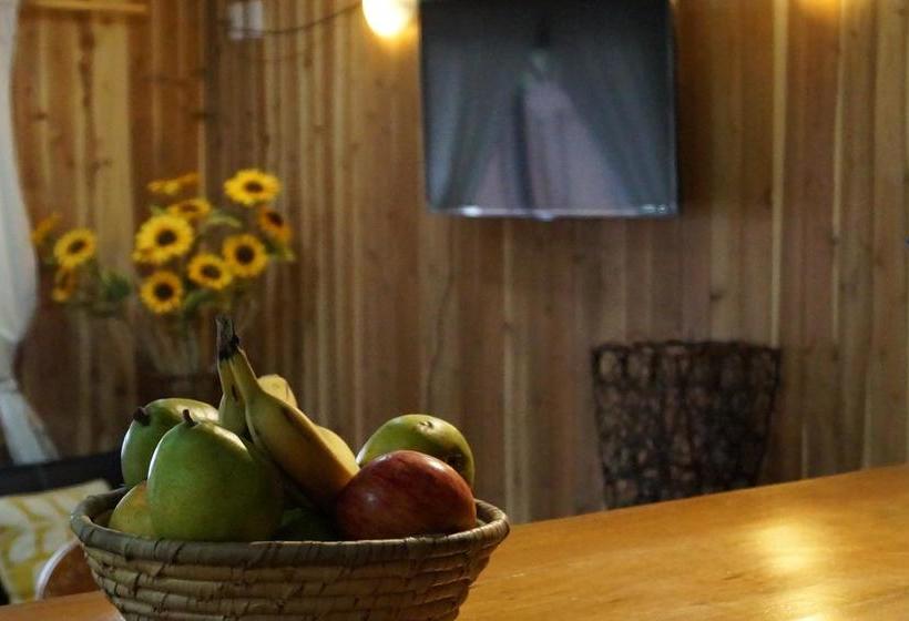 Hostal Eifelhaus | Pucon | Araucanía | Chile 10