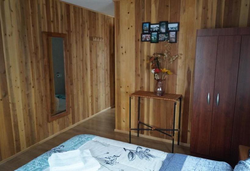 Hostal Eifelhaus | Pucon | Araucanía | Chile 13
