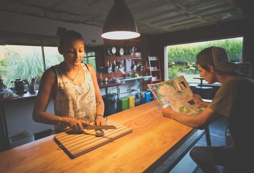 Hostal French Andes I | Pucon | Araucanía | Chile 4