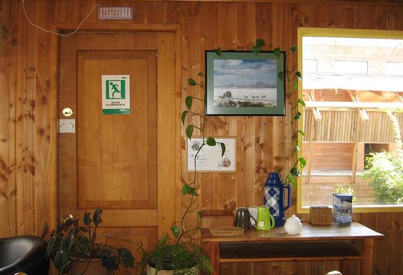 Hostal La Tetera | Pucon | Araucanía | Chile 17