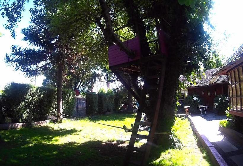 The Princesa Insolente Hostel Pucón Pucon Araucanía