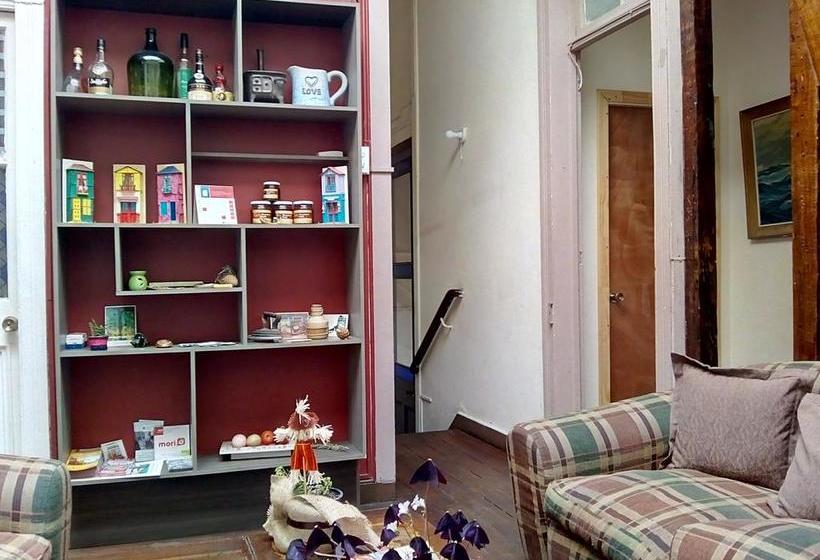 Hostal Alimapu | Valparaíso | Valparaiso | Chile 16
