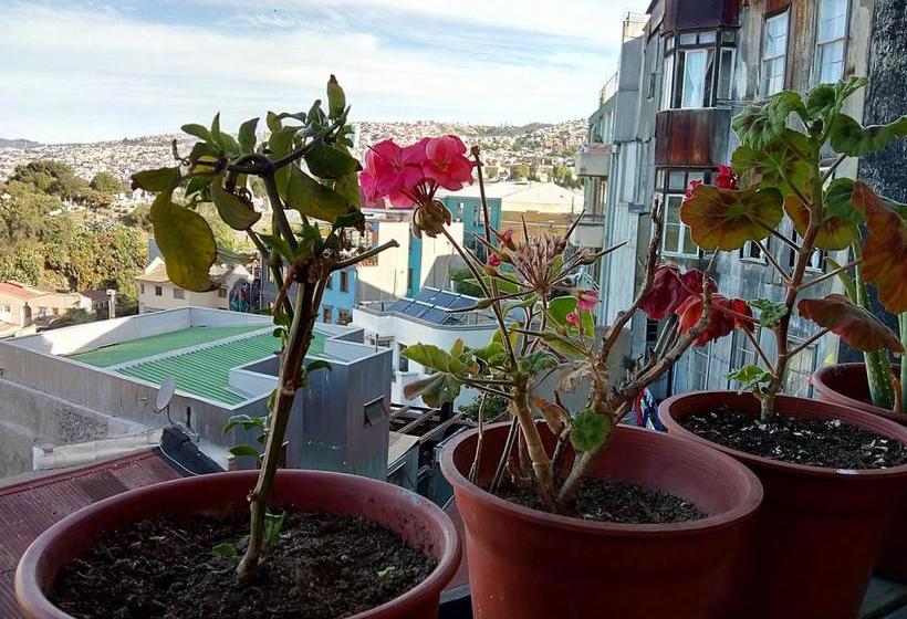 Hostal Alimapu | Valparaíso | Valparaiso | Chile 7