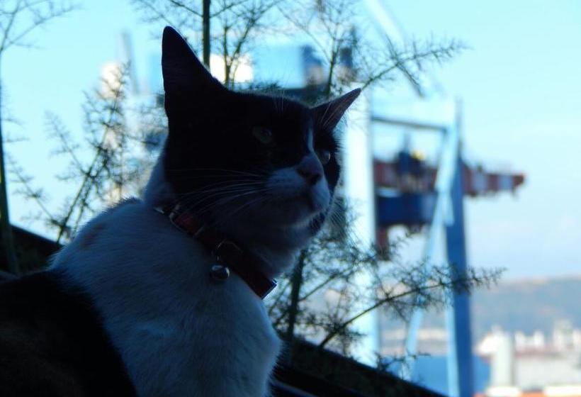 Hostal Recuerdos de Familia | Valparaíso | Valparaiso | Chile 8