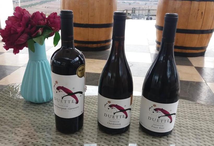 Bed and Breakfast Bed&Breakfast La Nona | Valparaíso | Valparaiso | Chile 10