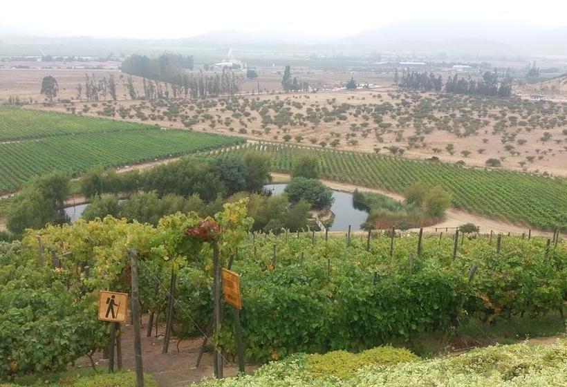 Bed and Breakfast Bed&Breakfast La Nona | Valparaíso | Valparaiso | Chile 12