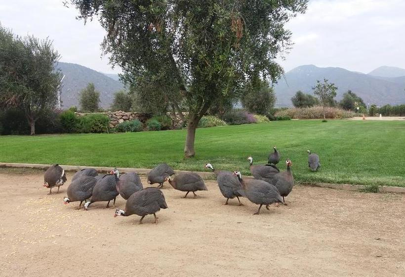 Bed and Breakfast Bed&Breakfast La Nona | Valparaíso | Valparaiso | Chile 8