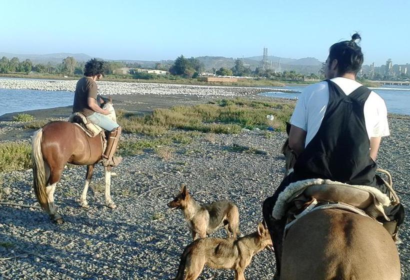 Bed and Breakfast Bed&Breakfast La Nona | Valparaíso | Valparaiso | Chile 9