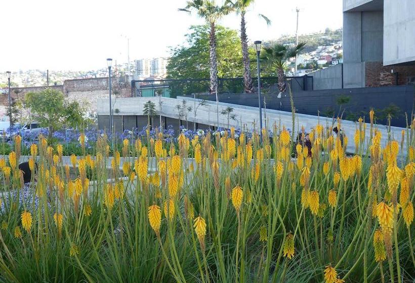Hostal Casa Felipa | Valparaíso | Valparaiso | Chile 15
