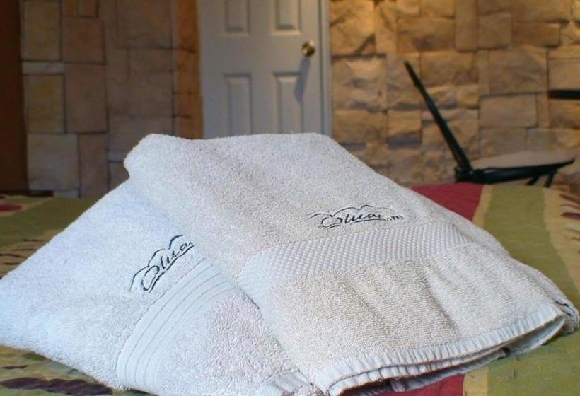 Hotel Olicar Teatinos | Santiago de Chile | Santiago | Chile 5