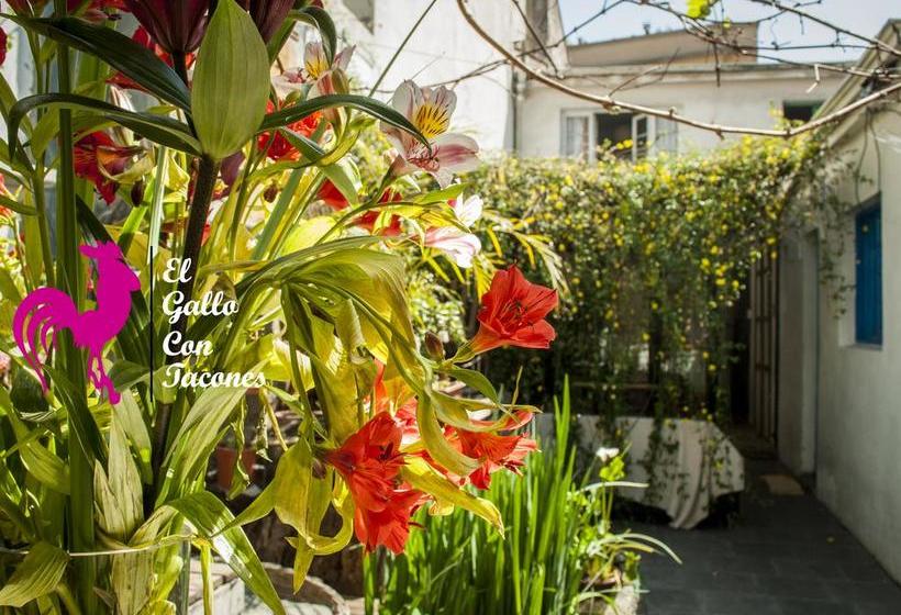 Albergue El Gallo Con Tacos | Santiago de Chile | Santiago | Chile 3