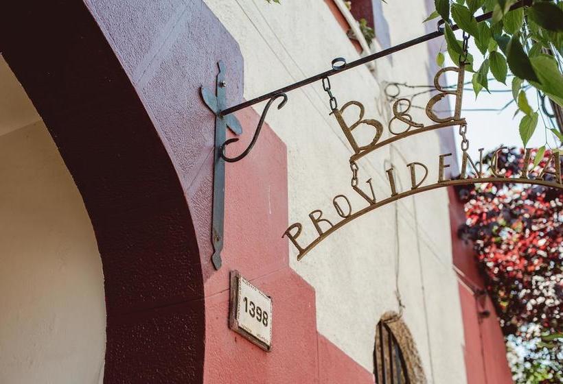Bed and Breakfast Providencia Bed&Breakfast | Santiago de Chile | Santiago | Chile 7