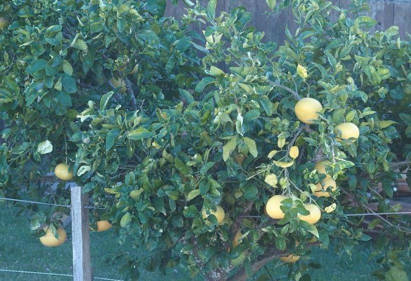 Hotel Buena Vista | San Gregorio de Polanco | Tacuarembó | Uruguay 7