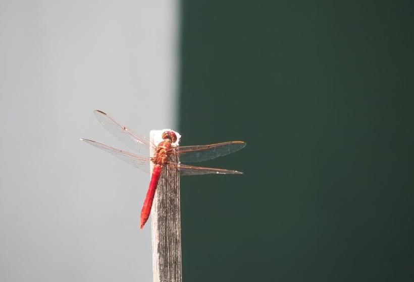 Hotel Buena Vista | San Gregorio de Polanco | Tacuarembó | Uruguay 8