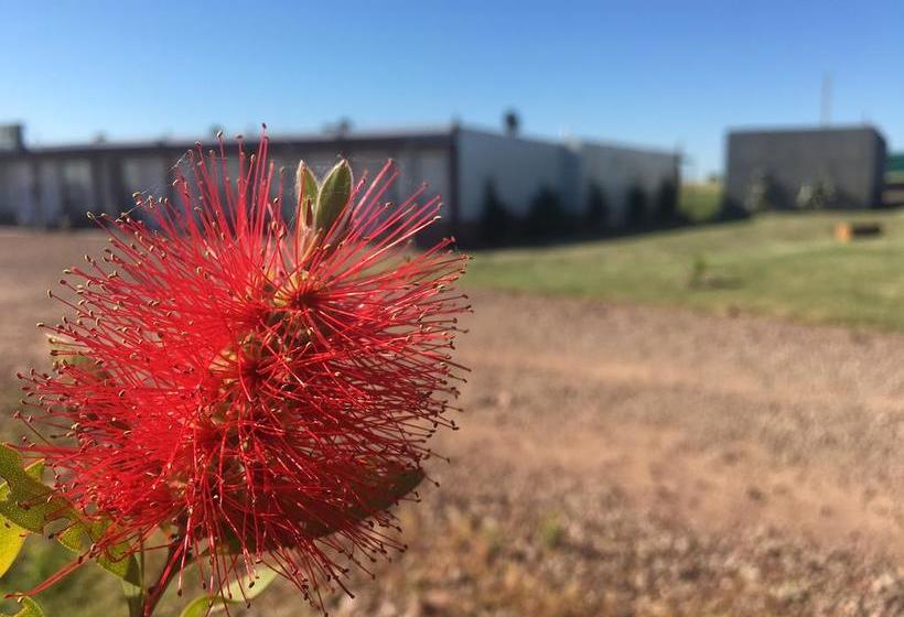 Hotel Nueva Palmira | Nueva Palmira | Colonia | Uruguay 3