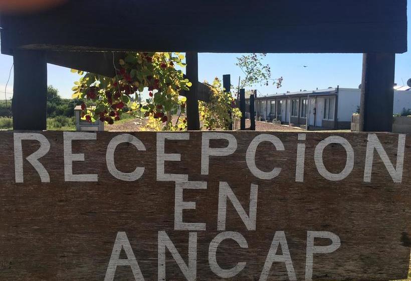 Hotel Nueva Palmira | Nueva Palmira | Colonia | Uruguay 7