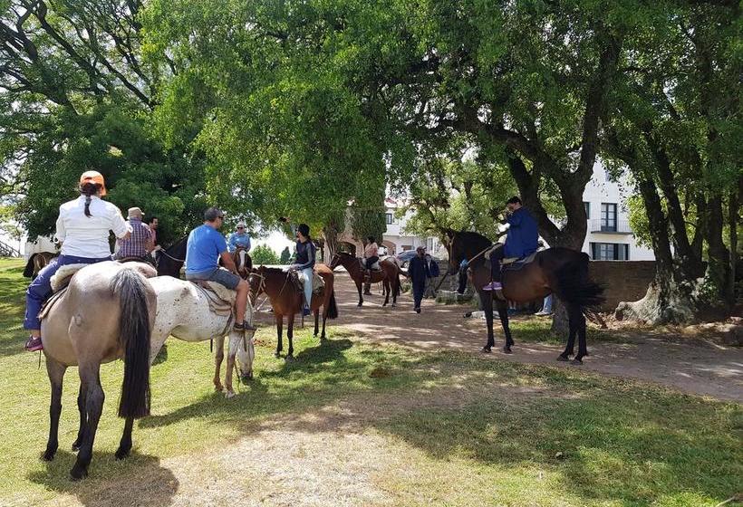 Hotel De Campo San Pedro De Timote | Reboledo | Florida | Uruguay 12