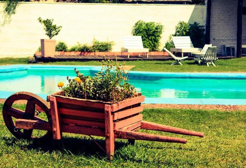 Hotel Artigas | Minas de Corrales | Rivera | Uruguay 10