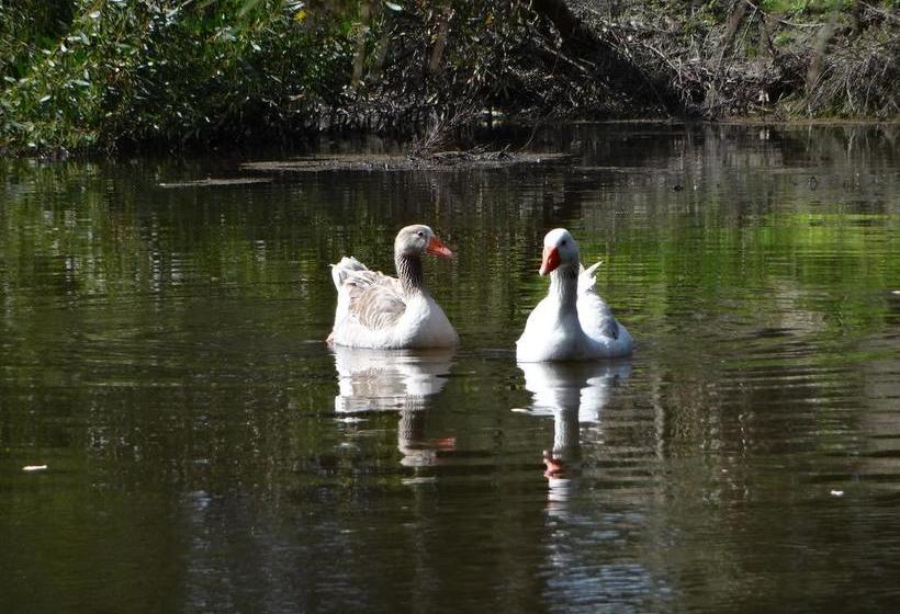 Residencia Refugio Del Solís | La Floresta | Canelones | Uruguay 19