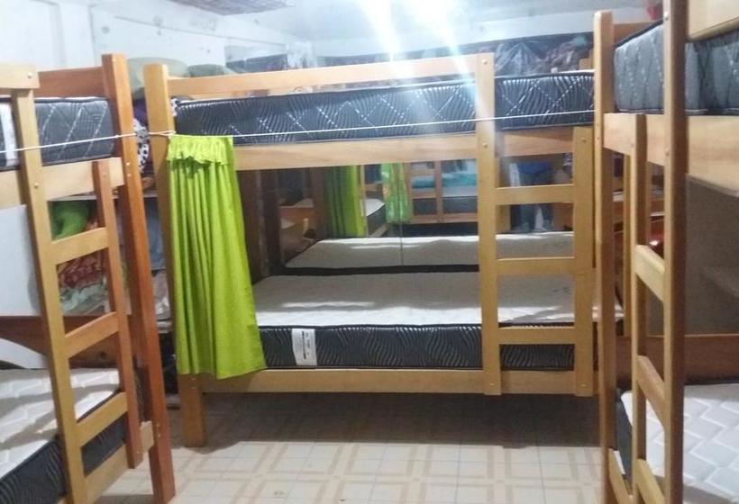 Albergue H.falcon | Santa Teresa | La Convención | Perú 2