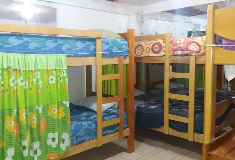 Albergue H.falcon | Santa Teresa | La Convención | Perú 6